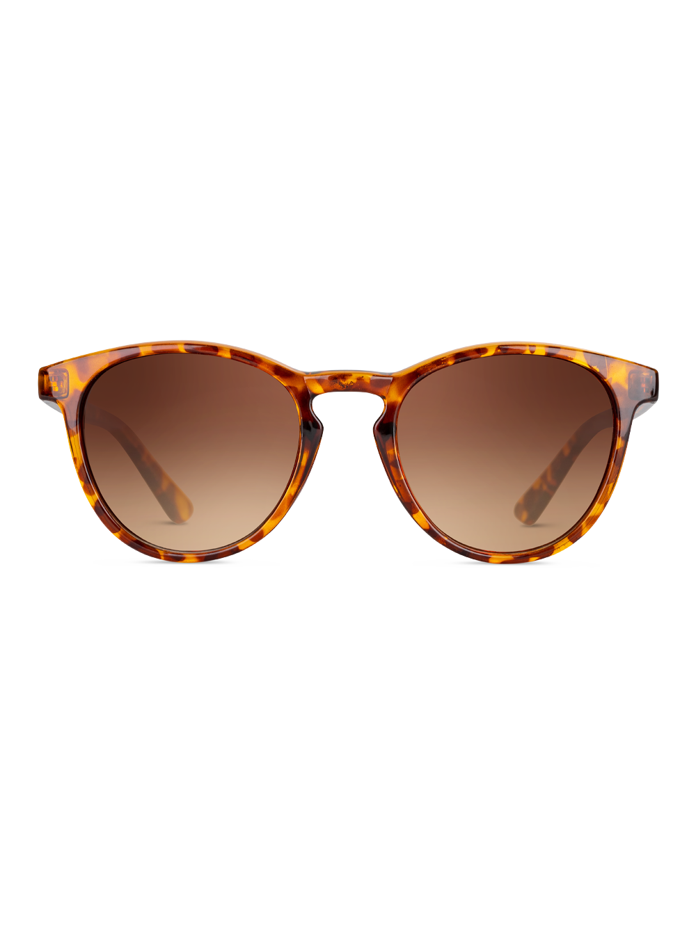 Occhiali da sole Twig Pasteur TORTOISE BROWN
