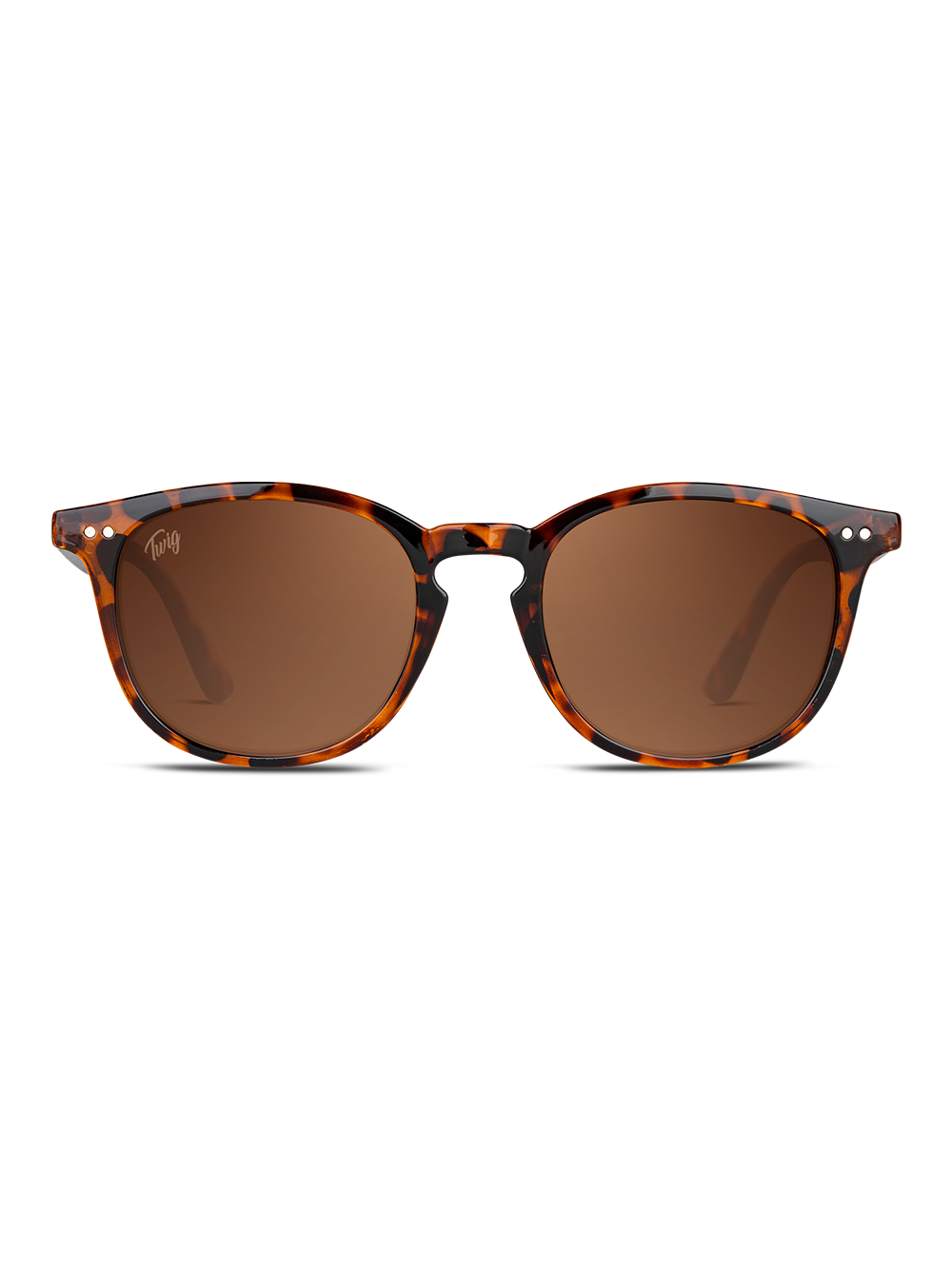 Occhiali da sole Twig Bogart TORTOISE BROWN