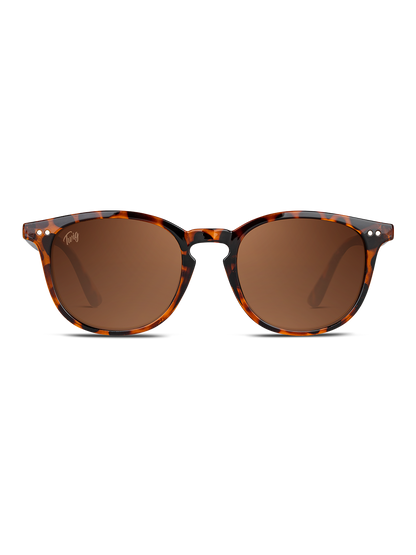 Occhiali da sole Twig Bogart TORTOISE BROWN