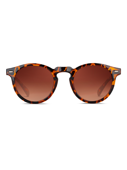 Occhiali da sole Smooder Dogma ACTIVEBROWN