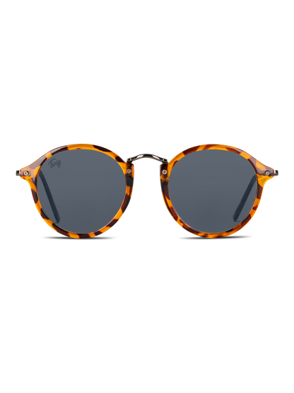 Occhiali da sole Twig Klimt TORTOISE BLACK