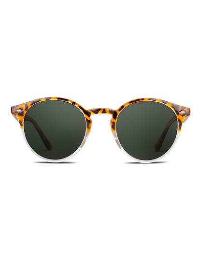 Occhiali da sole Twig Pollock LIQUID GREEN