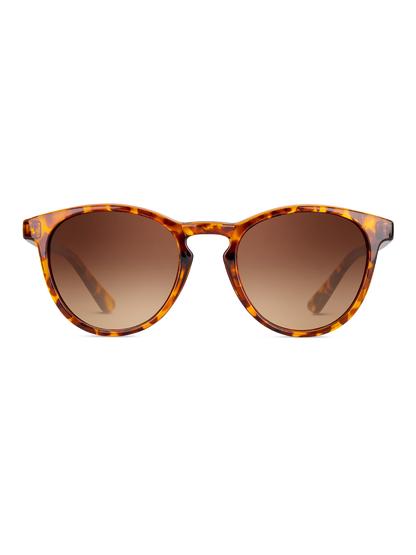 Occhiali da sole Twig Pasteur TORTOISE BROWN