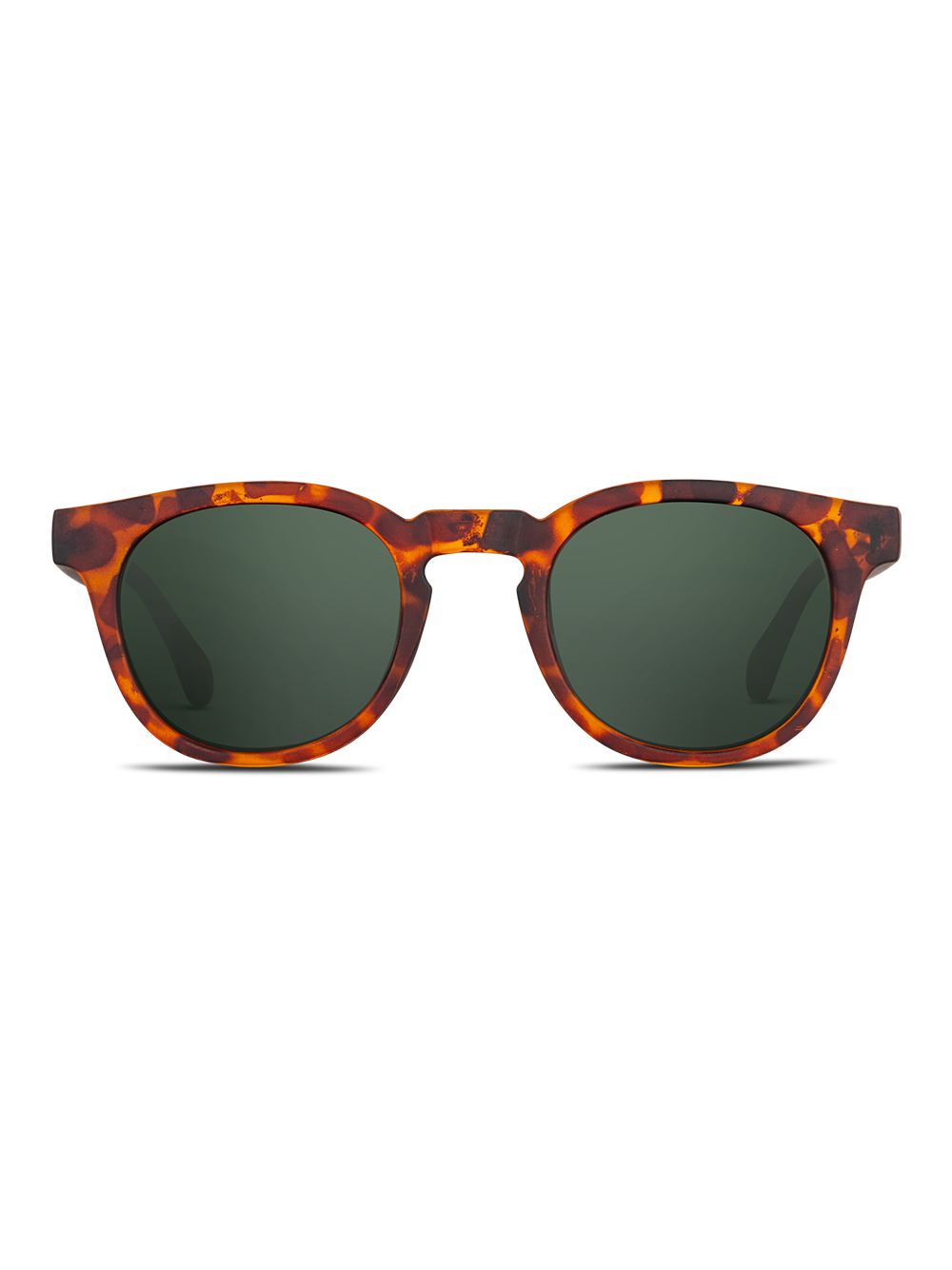 Occhiali da sole Twig Verne TORTOISE GREEN