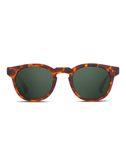 Occhiali da sole Twig Verne TORTOISE GREEN