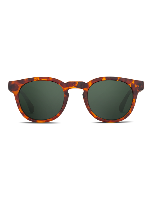Occhiali da sole Twig Verne TORTOISE GREEN