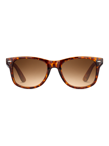 Occhiali da sole Twig Dirac TORTOISE BROWN
